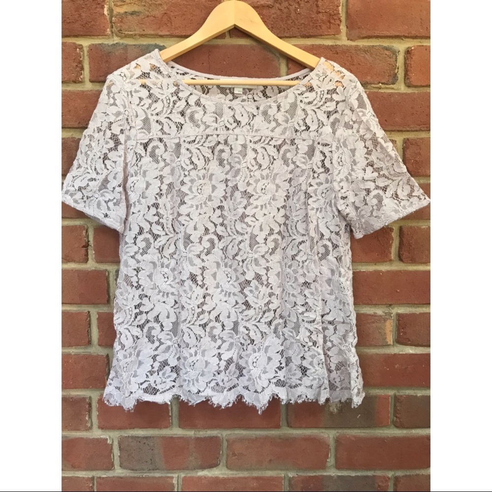 Loft Blush Lace T-Shirt